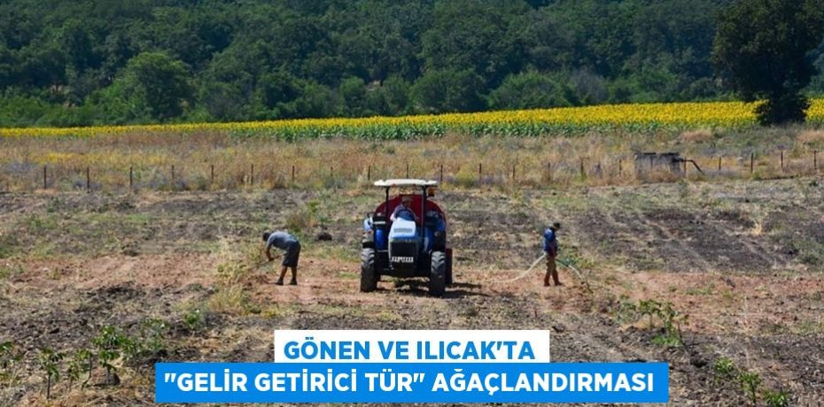 Gönen ve Ilıcak'ta "Gelir Getirici Tür" Ağaçlandırması