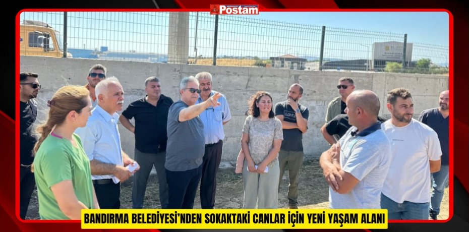 BANDIRMA BELEDİYESİ’NDEN SOKAKTAKİ CANLAR İÇİN YENİ YAŞAM ALANI