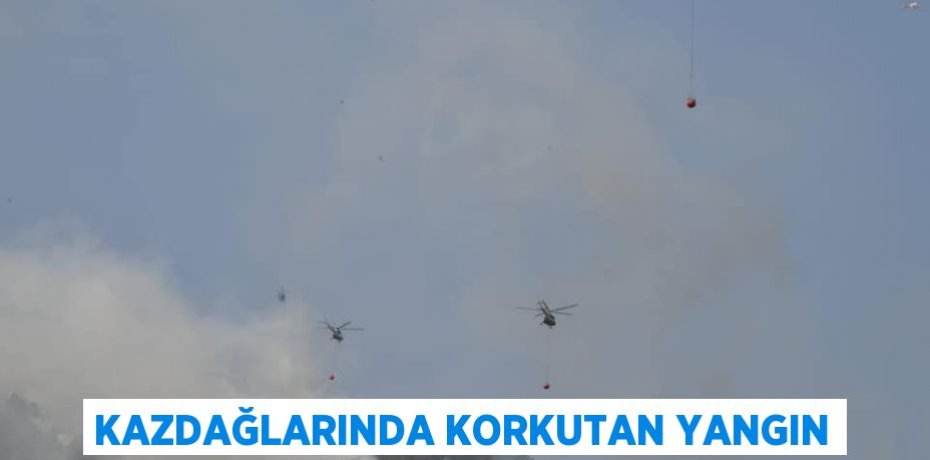 KAZDAĞLARINDA KORKUTAN YANGIN
