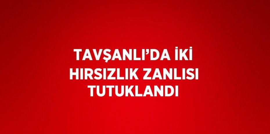 TAVŞANLI’DA İKİ HIRSIZLIK ZANLISI TUTUKLANDI