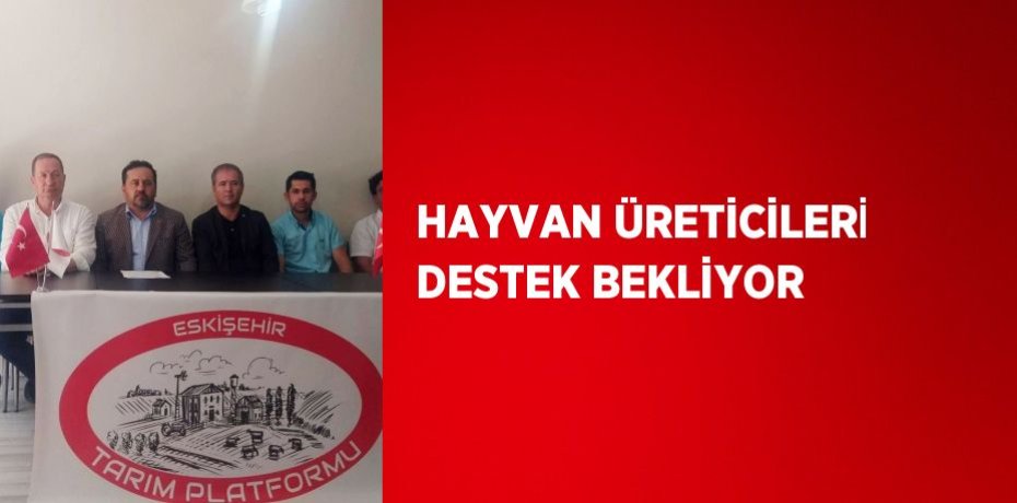 HAYVAN ÜRETİCİLERİ DESTEK BEKLİYOR