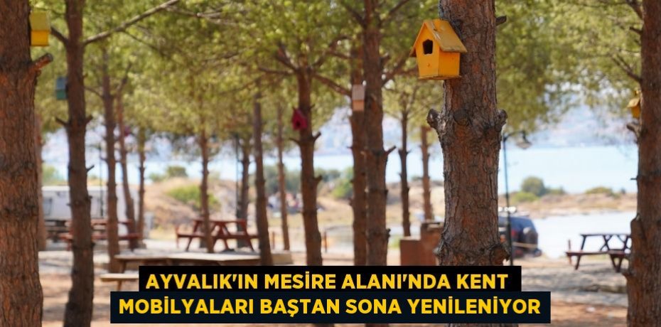 AYVALIK’IN MESİRE ALANI’NDA KENT MOBİLYALARI BAŞTAN SONA YENİLENİYOR