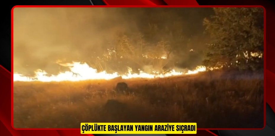 Çöplükte başlayan yangın araziye sıçradı