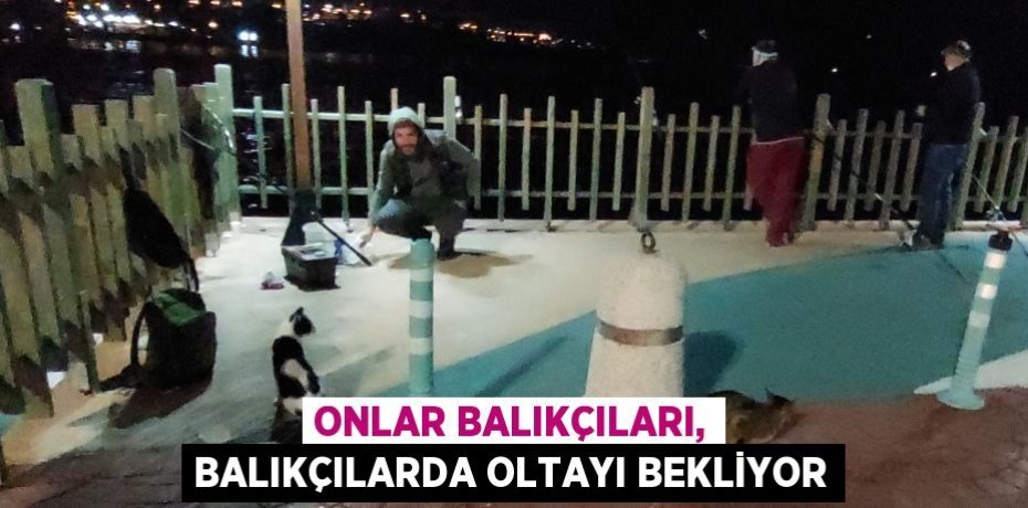 Onlar balıkçıları, balıkçılarda oltayı bekliyor