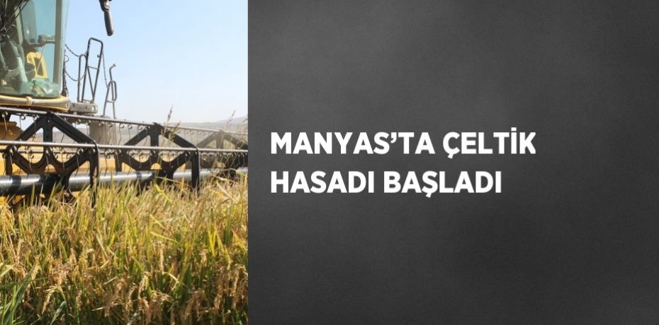 MANYAS’TA ÇELTİK HASADI BAŞLADI