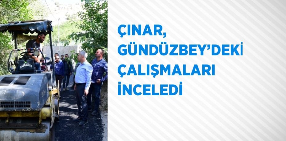 ÇINAR, GÜNDÜZBEY’DEKİ ÇALIŞMALARI İNCELEDİ