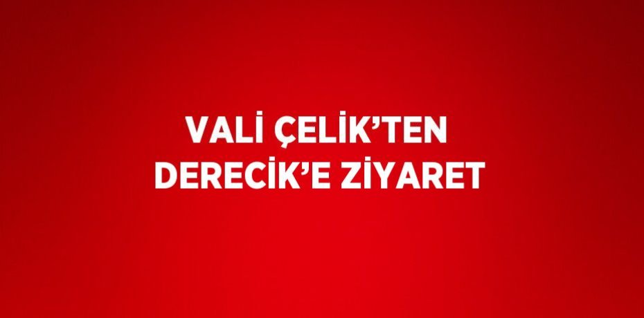 VALİ ÇELİK’TEN DERECİK’E ZİYARET