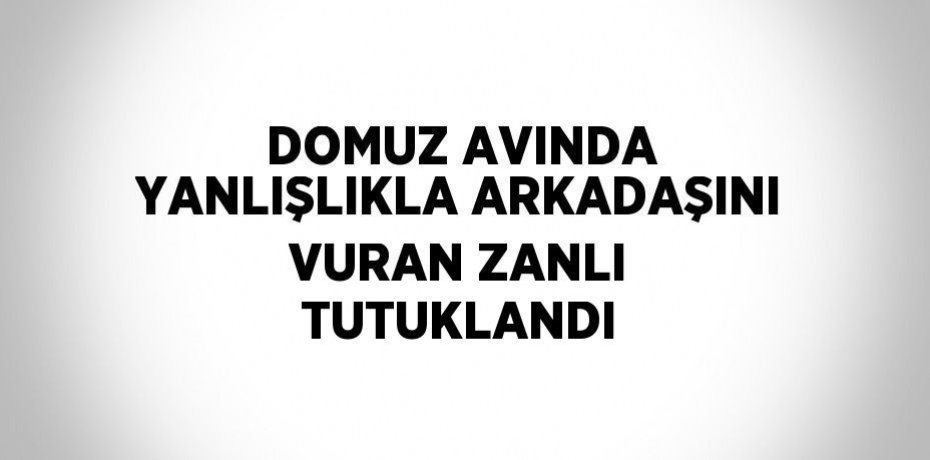 DOMUZ AVINDA YANLIŞLIKLA ARKADAŞINI VURAN ZANLI TUTUKLANDI