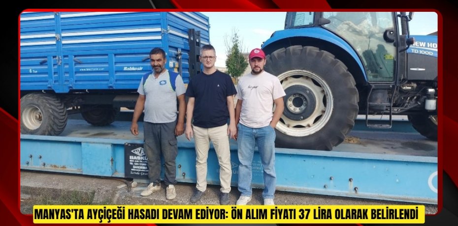  Manyas'ta ayçiçeği hasadı devam ediyor: Ön alım fiyatı 37 lira olarak belirlendi  