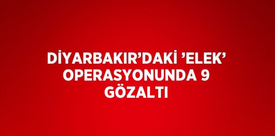 DİYARBAKIR’DAKİ ’ELEK’ OPERASYONUNDA 9 GÖZALTI
