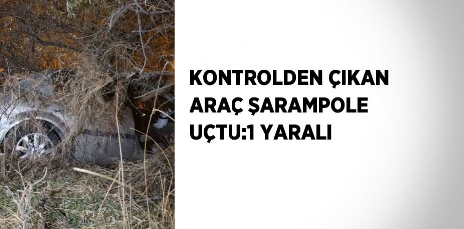 KONTROLDEN ÇIKAN ARAÇ ŞARAMPOLE UÇTU:1 YARALI