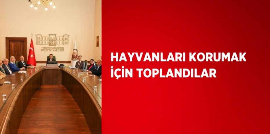 HAYVANLARI KORUMAK İÇİN TOPLANDILAR
