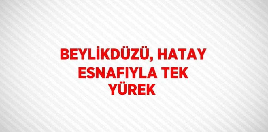 BEYLİKDÜZÜ, HATAY ESNAFIYLA TEK YÜREK