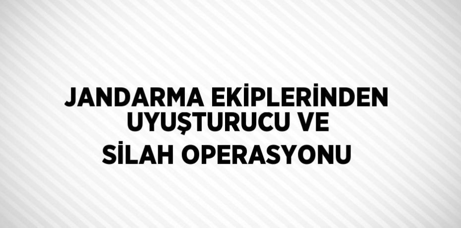 JANDARMA EKİPLERİNDEN UYUŞTURUCU VE SİLAH OPERASYONU