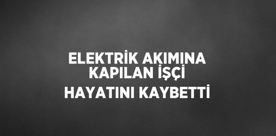 ELEKTRİK AKIMINA KAPILAN İŞÇİ HAYATINI KAYBETTİ