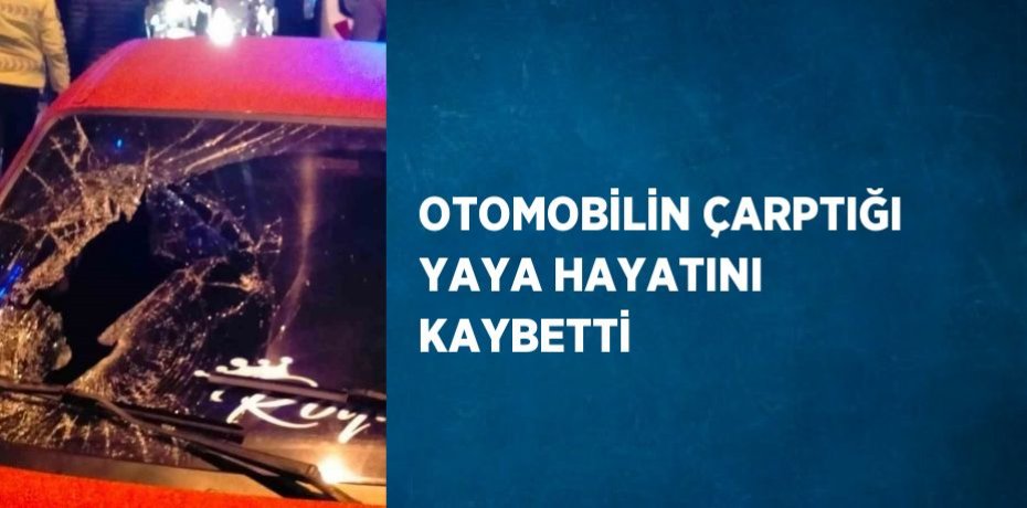 OTOMOBİLİN ÇARPTIĞI YAYA HAYATINI KAYBETTİ
