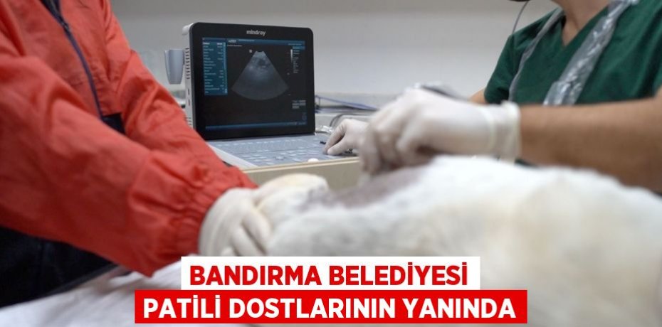 BANDIRMA BELEDİYESİ PATİLİ DOSTLARININ YANINDA
