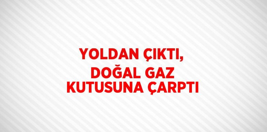 YOLDAN ÇIKTI, DOĞAL GAZ KUTUSUNA ÇARPTI