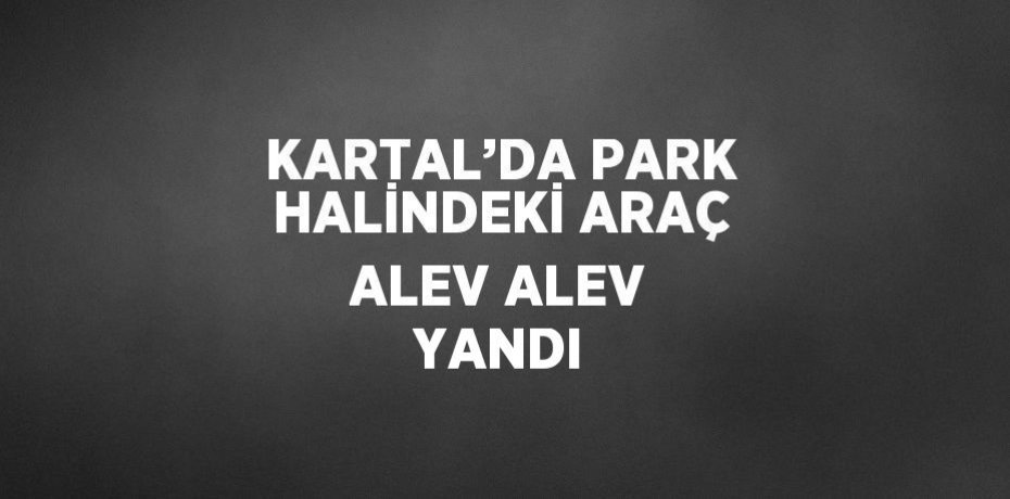 KARTAL’DA PARK HALİNDEKİ ARAÇ ALEV ALEV YANDI