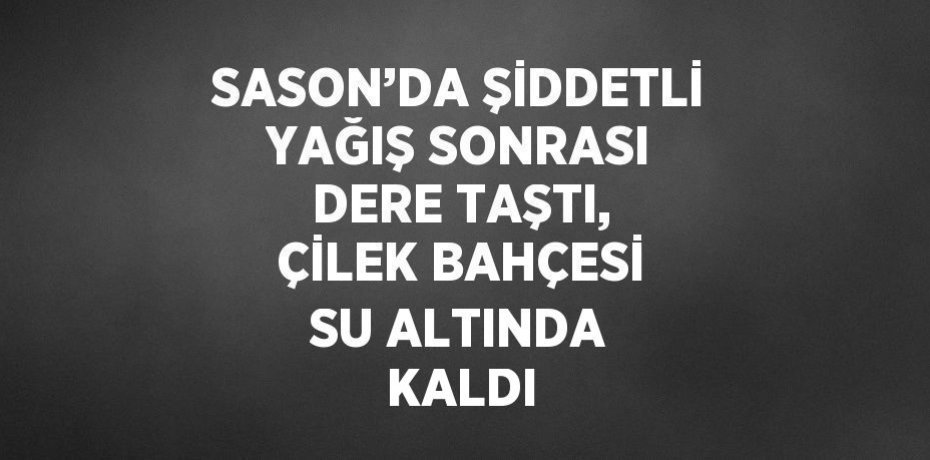 SASON’DA ŞİDDETLİ YAĞIŞ SONRASI DERE TAŞTI, ÇİLEK BAHÇESİ SU ALTINDA KALDI