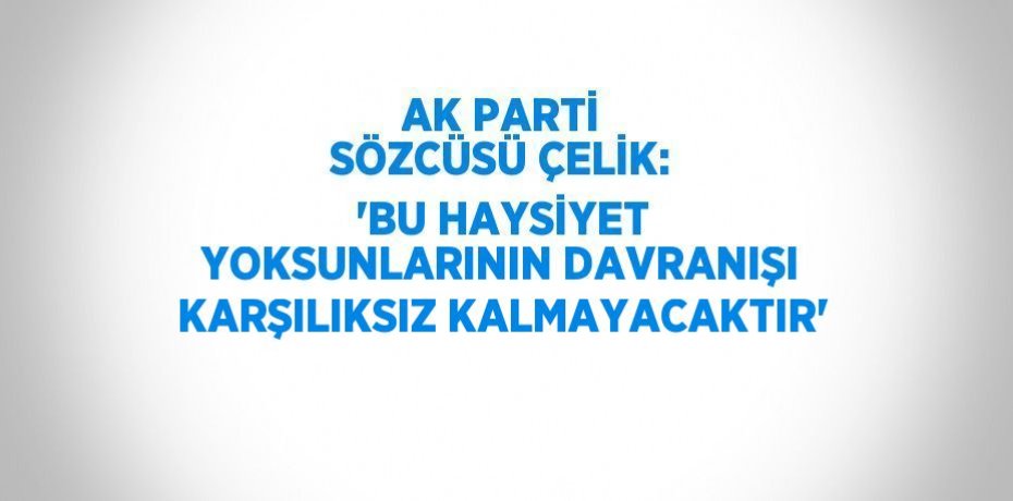 AK PARTİ SÖZCÜSÜ ÇELİK: 'BU HAYSİYET YOKSUNLARININ DAVRANIŞI KARŞILIKSIZ KALMAYACAKTIR'