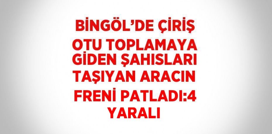 BİNGÖL’DE ÇİRİŞ OTU TOPLAMAYA GİDEN ŞAHISLARI TAŞIYAN ARACIN FRENİ PATLADI:4 YARALI