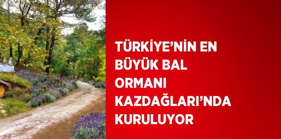 TÜRKİYE’NİN EN BÜYÜK BAL ORMANI KAZDAĞLARI’NDA KURULUYOR