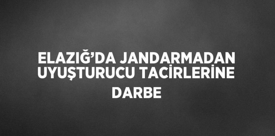 ELAZIĞ’DA JANDARMADAN UYUŞTURUCU TACİRLERİNE DARBE