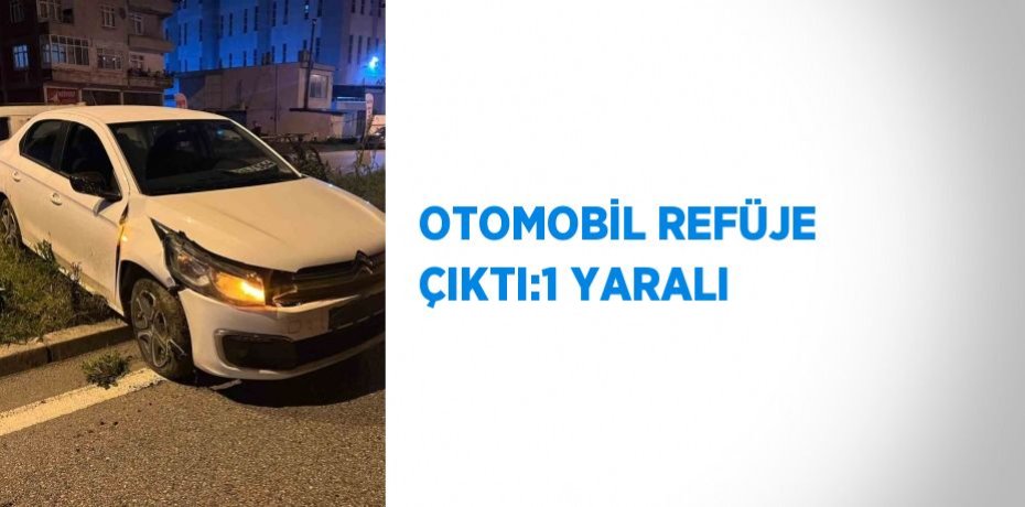 OTOMOBİL REFÜJE ÇIKTI:1 YARALI