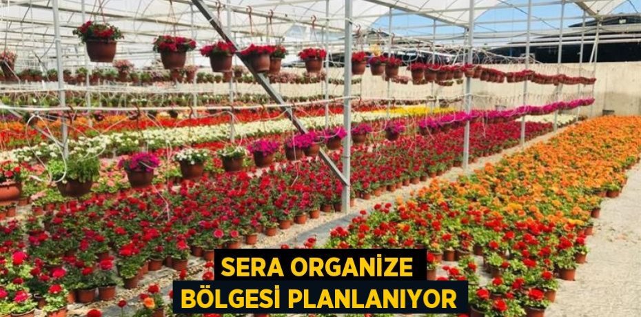 SERA ORGANİZE BÖLGESİ PLANLANIYOR