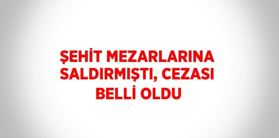 ŞEHİT MEZARLARINA SALDIRMIŞTI, CEZASI BELLİ OLDU