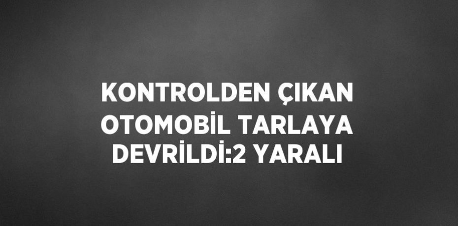 KONTROLDEN ÇIKAN OTOMOBİL TARLAYA DEVRİLDİ:2 YARALI