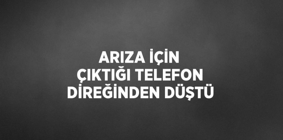 ARIZA İÇİN ÇIKTIĞI TELEFON DİREĞİNDEN DÜŞTÜ