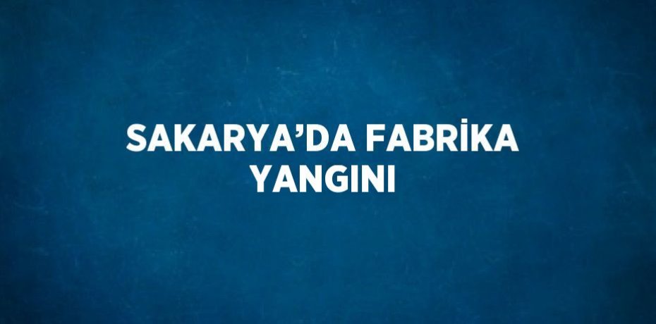 SAKARYA’DA FABRİKA YANGINI