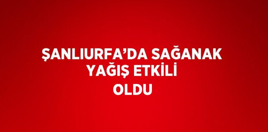 ŞANLIURFA’DA SAĞANAK YAĞIŞ ETKİLİ OLDU