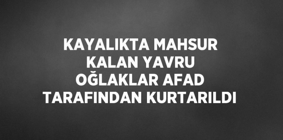 KAYALIKTA MAHSUR KALAN YAVRU OĞLAKLAR AFAD TARAFINDAN KURTARILDI