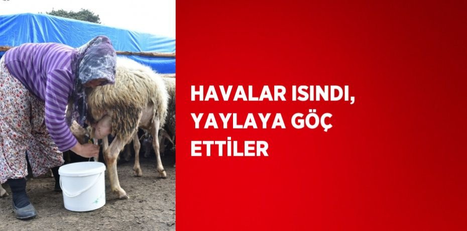 HAVALAR ISINDI, YAYLAYA GÖÇ ETTİLER