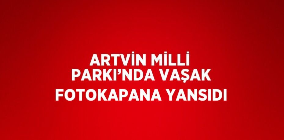 ARTVİN MİLLİ PARKI’NDA VAŞAK FOTOKAPANA YANSIDI