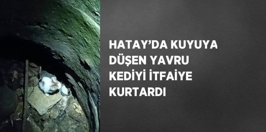 HATAY’DA KUYUYA DÜŞEN YAVRU KEDİYİ İTFAİYE KURTARDI