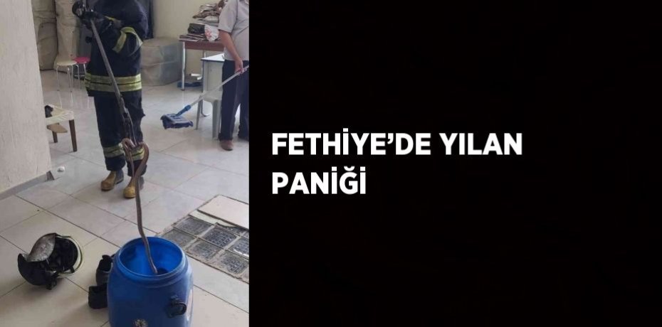 FETHİYE’DE YILAN PANİĞİ