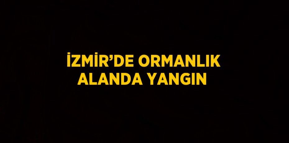 İZMİR’DE ORMANLIK ALANDA YANGIN