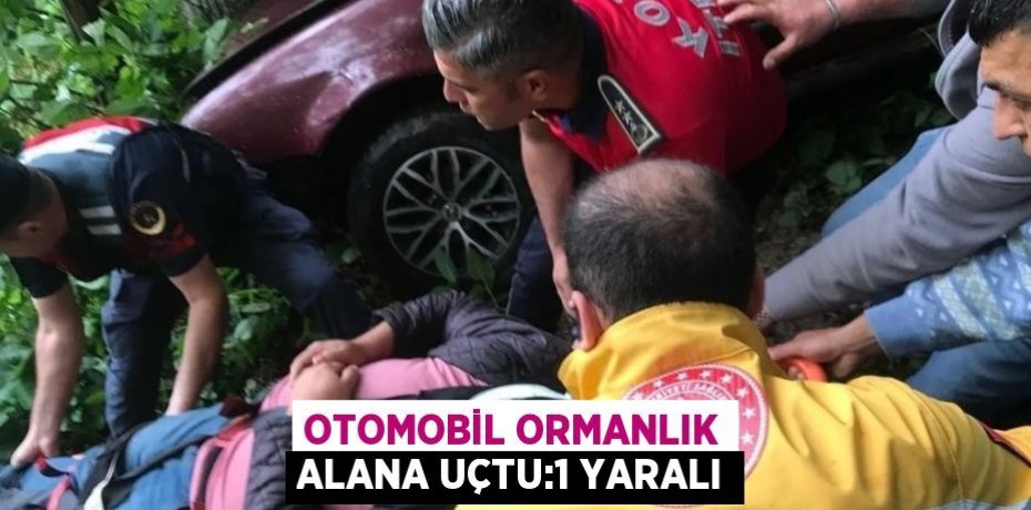 OTOMOBİL ORMANLIK ALANA UÇTU:1 YARALI