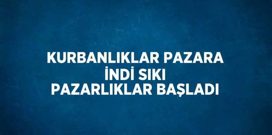 KURBANLIKLAR PAZARA İNDİ SIKI PAZARLIKLAR BAŞLADI