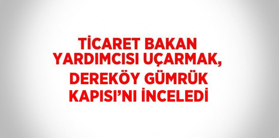TİCARET BAKAN YARDIMCISI UÇARMAK, DEREKÖY GÜMRÜK KAPISI’NI İNCELEDİ