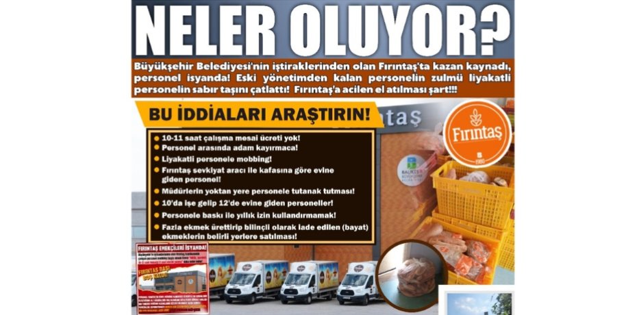 NELER OLUYOR?