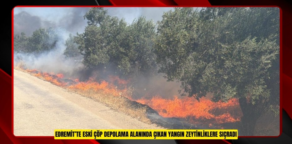 Edremit’te eski çöp depolama alanında çıkan yangın zeytinliklere sıçradı  