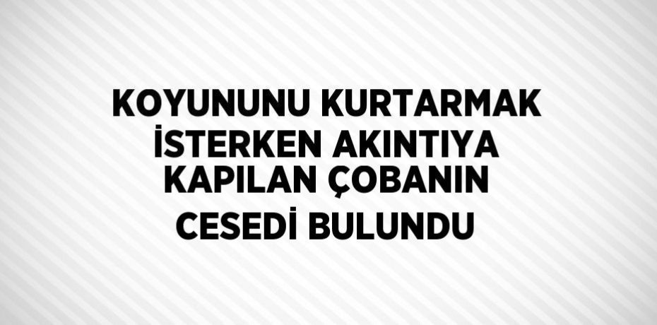 KOYUNUNU KURTARMAK İSTERKEN AKINTIYA KAPILAN ÇOBANIN CESEDİ BULUNDU