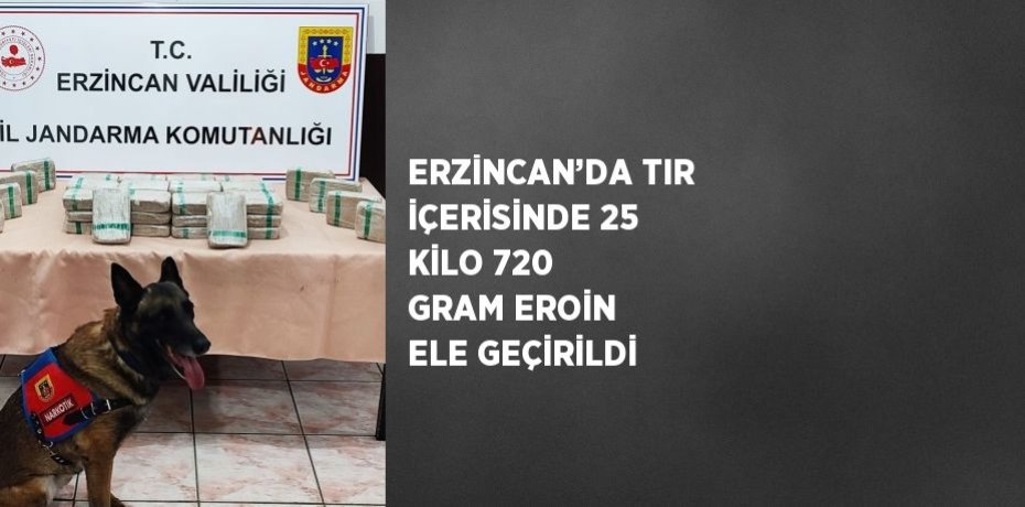 ERZİNCAN’DA TIR İÇERİSİNDE 25 KİLO 720 GRAM EROİN ELE GEÇİRİLDİ