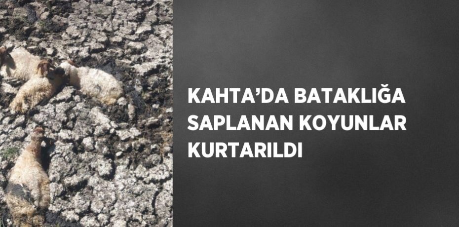 KAHTA’DA BATAKLIĞA SAPLANAN KOYUNLAR KURTARILDI