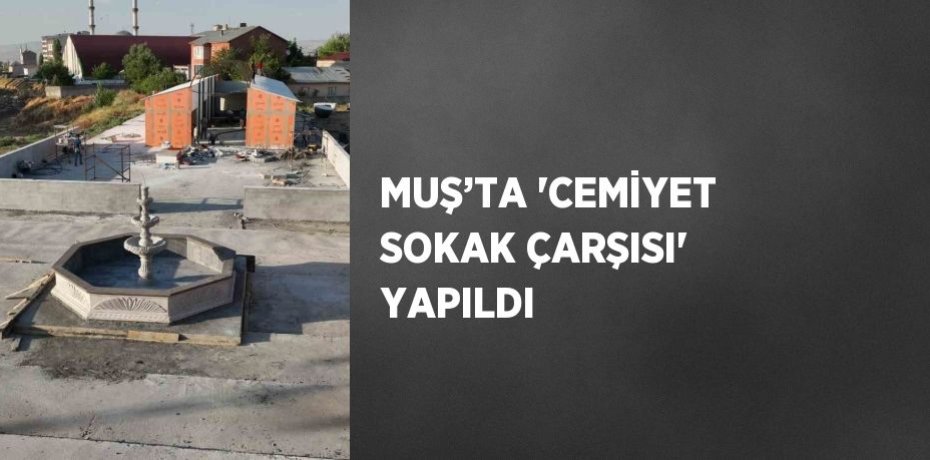 MUŞ’TA 'CEMİYET SOKAK ÇARŞISI' YAPILDI